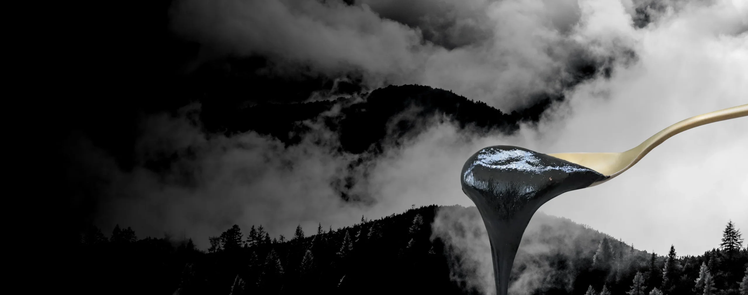 promo-banner-image